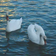 Наталья и Иван Долгоруковы