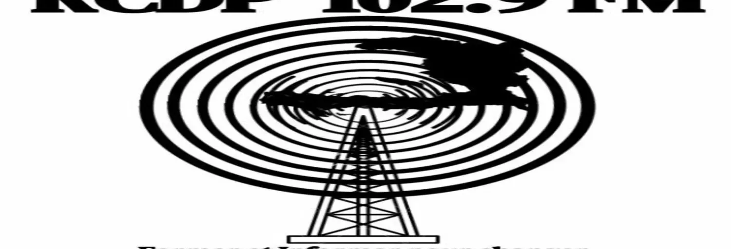 Radio Conseil D.P FM