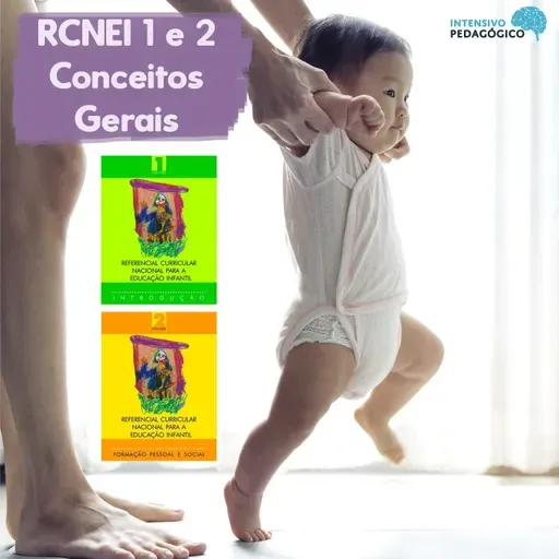 Referencial Curricular Nacional para a Educação Infantil (RCNEI 1 e 2) - Conceitos Gerais