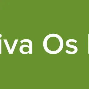 Comitiva Os brutos