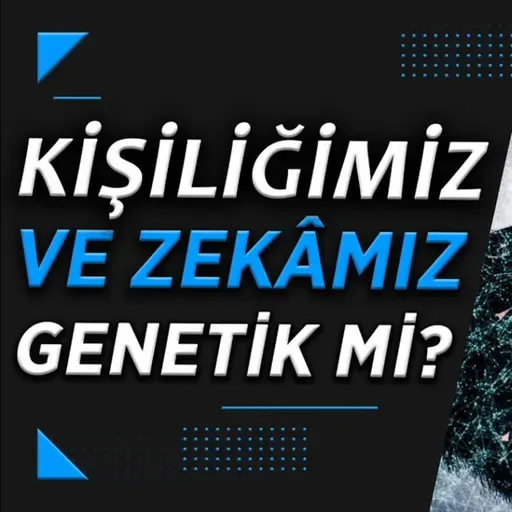 Diamond Tema - Zekâ Geliştirilebilir mi, Yoksa Sabit mi?