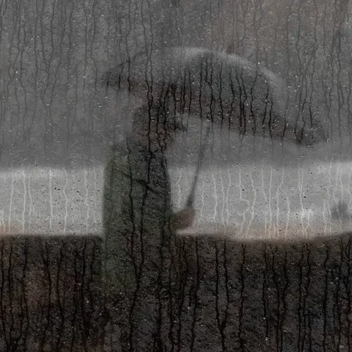 Cuando los elefantes sueñan con la música - Las aguas de marzo - 31/03/26