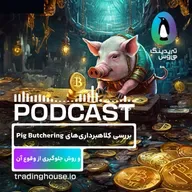 بررسی کلاهبرداری (پیگ بوچِرینگ) و روش جلوگیری از وقوع آن