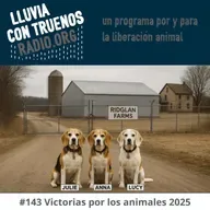 #143 Victorias por los animales 2025