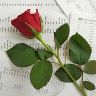 "What have we done yo Earth?"