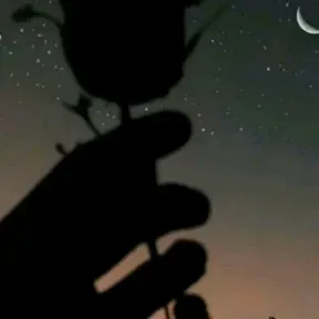 Corta venas