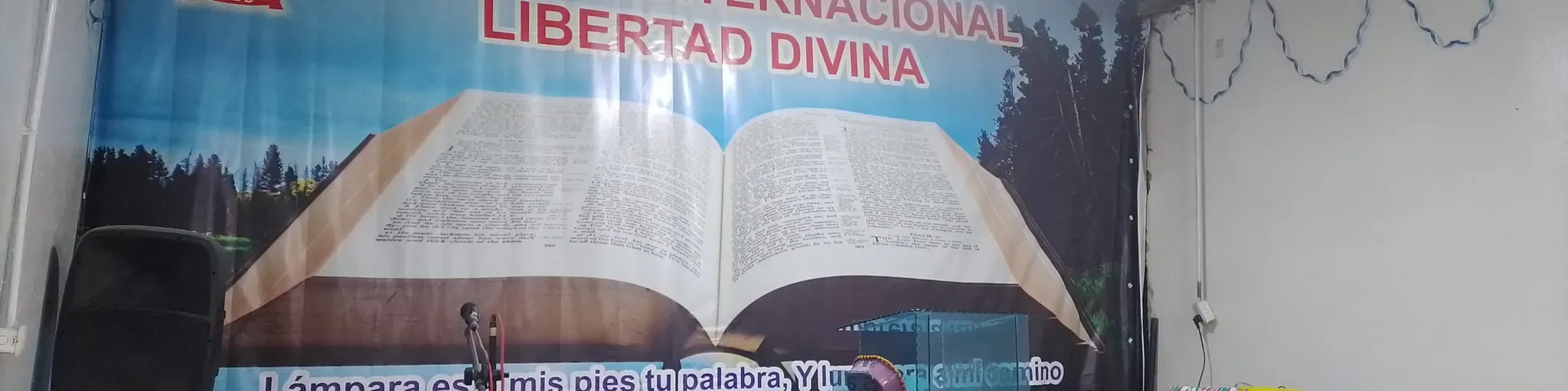 I.E VISION INTERNACIONAL LIBERTAD DIVINA