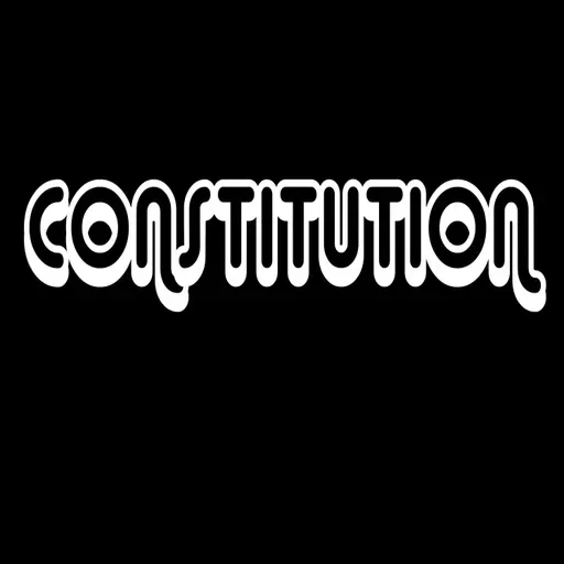 CONSTITUTION_2(@pius_213)
