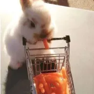 scorpions lorelei 6422376231161385435