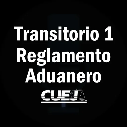 Transitorio 1 Reglamento de la ley aduanera México