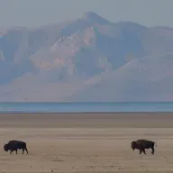 How to find glory in the ordinary