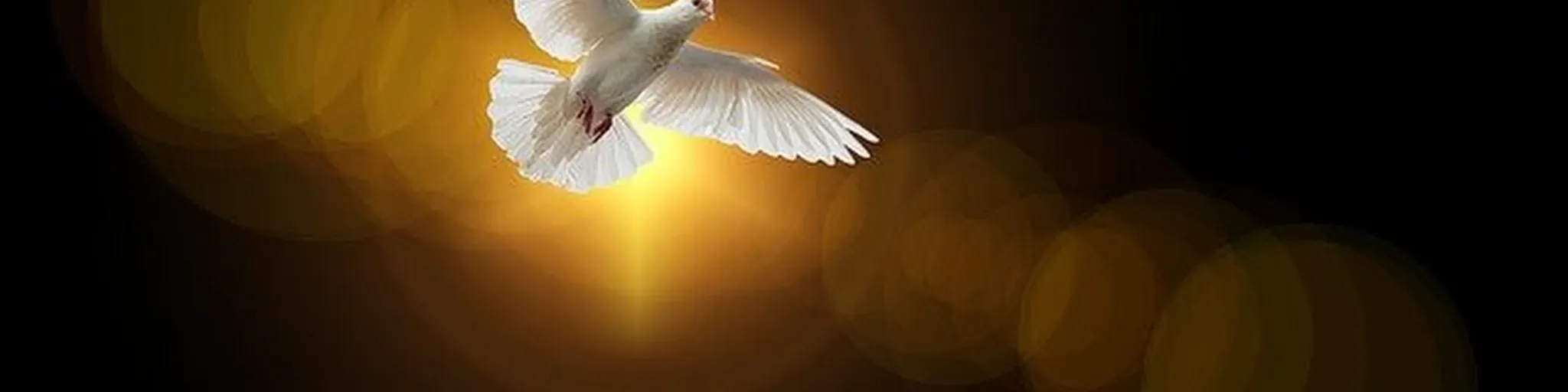 Holy Bible FM RAdio