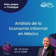 E195 Dato Peque del Trueque: Análisis de la Economía Informal en México
