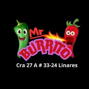 Mr Burrito