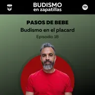 247: BUDISMO EN EL PLACARD - Episodio 18 - Pasos de bebé