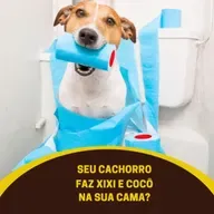 Seu cachorro faz xixi e cocô na sua cama?