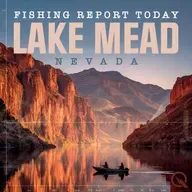 Winter Wonders on Lake Mead: Stripers, Smallies, and Cats Bite in the Desert