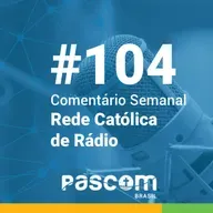 Desinformação e fake news no contexto político-eleitoral 
