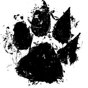 Portal Da Arte