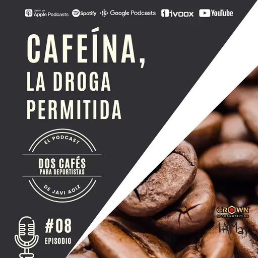 08 CAFEÍNA, LA DROGA PERMITIDA