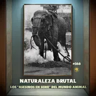 E368: Naturaleza Brutal: Los "Asesinos en Serie" del Reino Animal