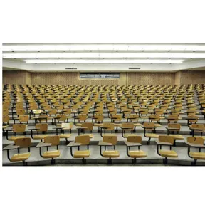 "Whither the Looniversity?" - A Podcast on the Miserable State of the American University