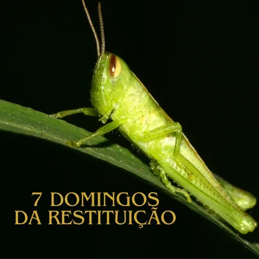 7 Domingos da Restituição (Parte 4)