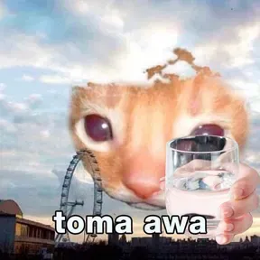 ffffff