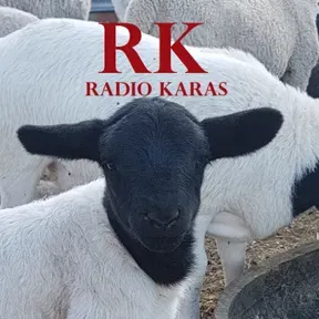 Radio Karas