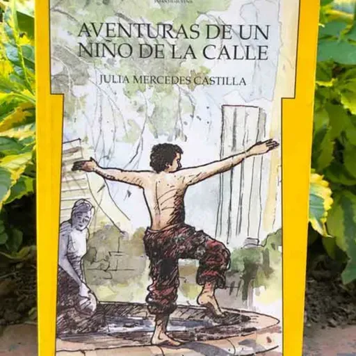 Audiolibro Aventuras de un niño de la calle - Julia Castilla - Episodio 5
