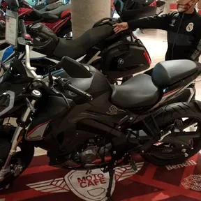 turro6767