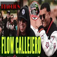 Tito “El Bambino”, Ñengo Flow, Dj Nelson - Flow Callejero || REACCIÓN