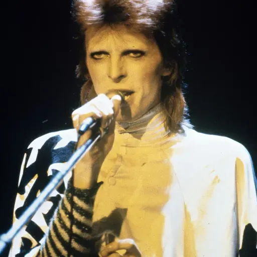 ’Rockhistorier’ om Bowie i 1970’erne: ”Vi mener jo, det er musikhistoriens peak”