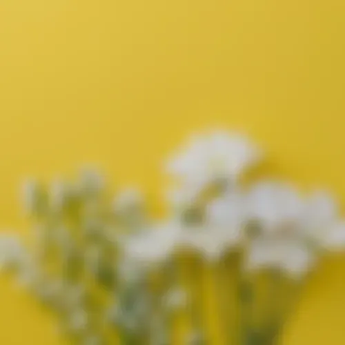 Len