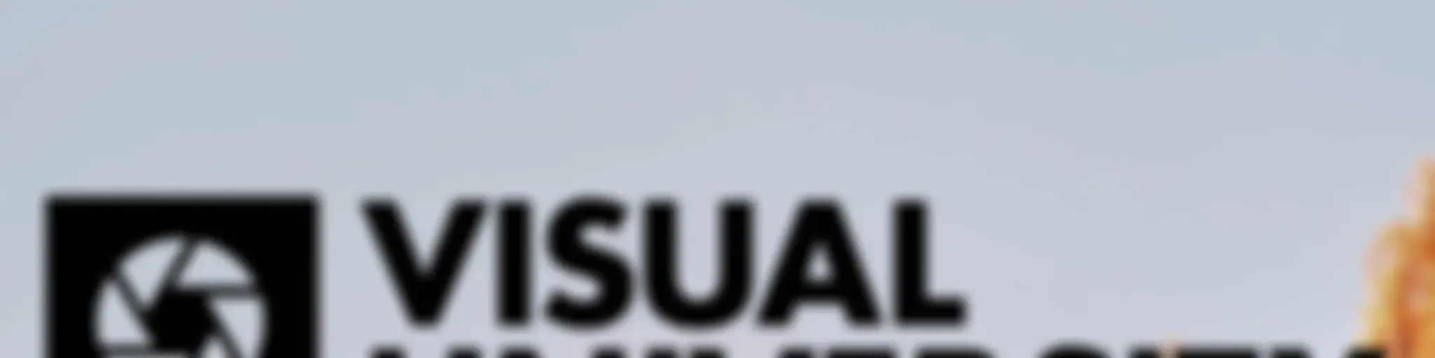 Visual University