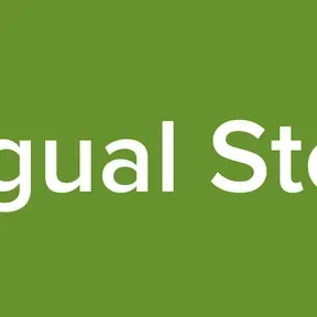Vijagual Stereo
