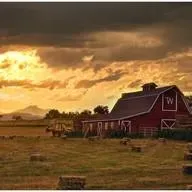 Mix Country