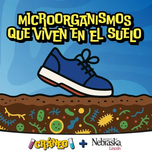 Microorganismos que viven en el suelo