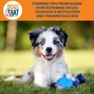 Training Tips From Susan: How Dopamine Drives Your Dog’s Motivation And Training Success