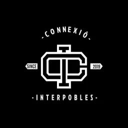CONNEXIÓ TEAM