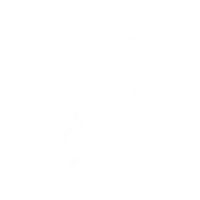 Groove Bass