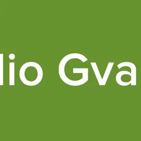 Radio Gvanim