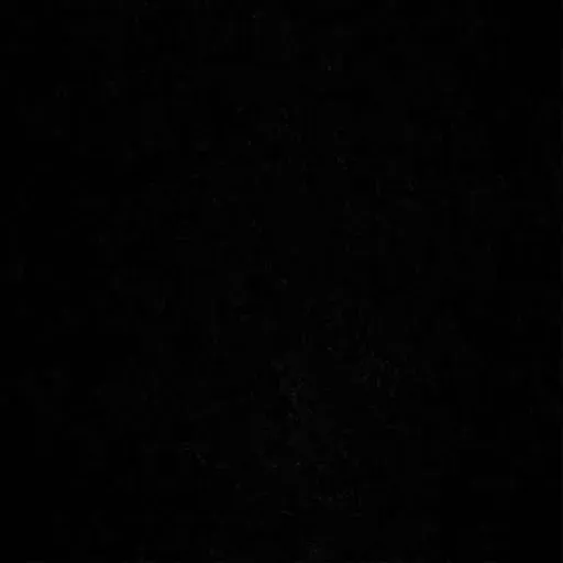 Meine Vorfahren, Tante Minna, Pilsen - Plzeň