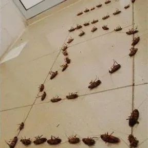 Rigatoni Radio