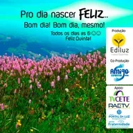 Pro dia nascer Feliz... Bom dia! Bom dia, mesmo! #335