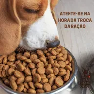 Atente-se na hora da troca da ração