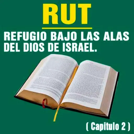 Refugio bajo las alas del Dios de Israel ( Rut 2 )