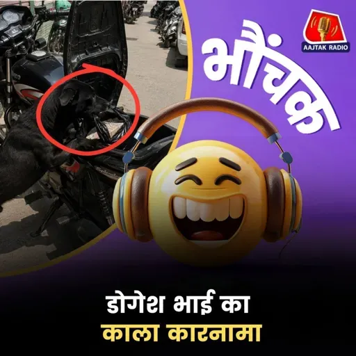 बिजनौर में अजीबोगरीब चोरी, कुत्ता ले उड़ा 1 लाख की गड्डी | भौंचक