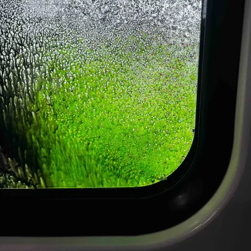 The Green Routine Vol