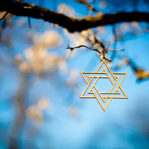 Orthodox Jew—New Testament Christian—Messianic Jew